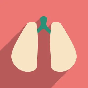 Flat with shadow icon and mobile application lungs Stock Illustration