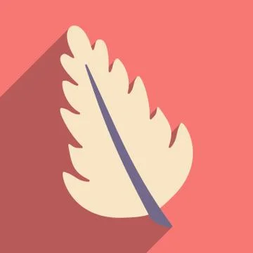 Flat with shadow icon and mobile application herbs spices Stock Illustration