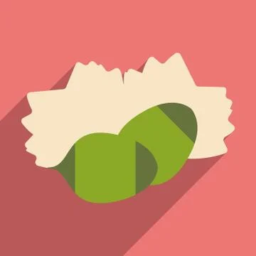 Flat with shadow icon and mobile application pine nuts Illustration