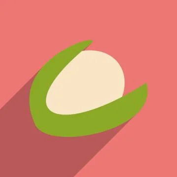 Flat with shadow icon and mobile application hazelnut Illustration