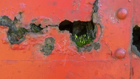 Flat Static Shot of Plant Life Growing from Rusty Hole in Trains, 4K Stock Footage 72879229