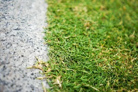 Flat stone and grass Stock Photos