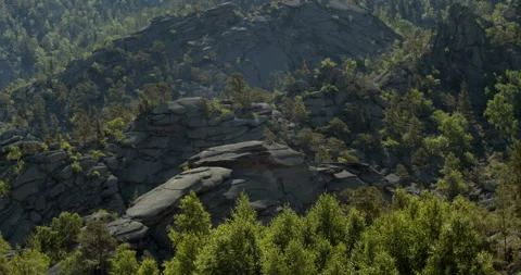 Flat stone mountains covered with green softwood forest. Static shot. Stock Footage 141648551