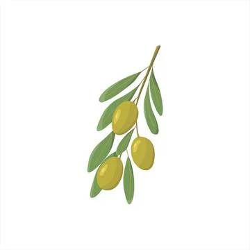 Flat style green olives. Twig with olives with leaves. The concept of veget.. Stock Illustration