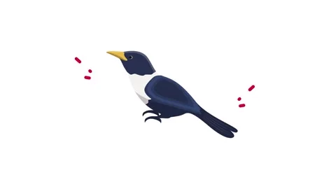 Flat Style Illustration of a Stylized Bird Icon Isolated on White Background Stock Footage 345826446