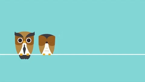 Flat Style Looped Background with Two Cute Owls. Stock Footage 69743399