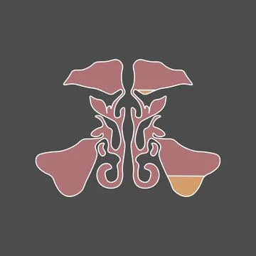 Flat style Maxillary sinus. Sinusitis. Sinus infection is inflammation of the Stock Illustration