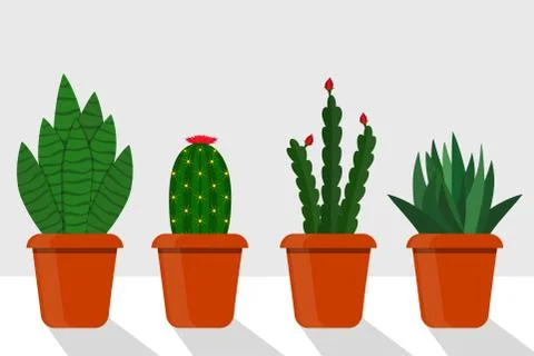 Flat style room plants in pots, vector illustration. Cactus, sansevieriya, di Stock Illustration