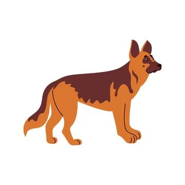 Flat-style shepherd dog vector simplified shapes, warm brown coat, alert posture Stock Illustration