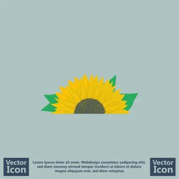 Flat style sunflower icon Illustrazione stock