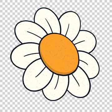 Flat stylized daisy is floating on transparent background, showing white petals Stock Illustration