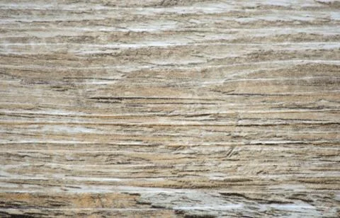 A flat surface of old light wood with traces of processing and cracks. Stock Photos