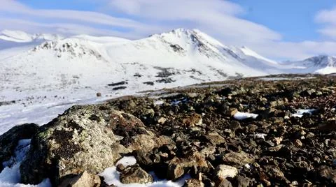 Flat Top 库存照片