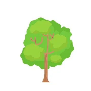 Flat tree with isolated white background vector.Cartoon tree on white Stock Illustration