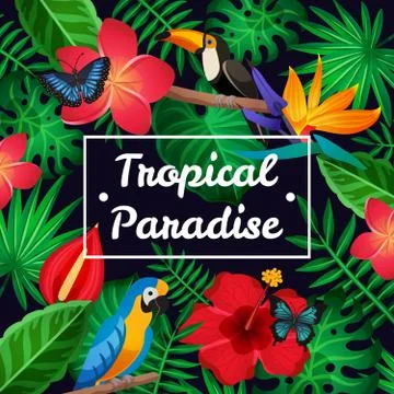 Flat Tropical Frame Stock Illustration