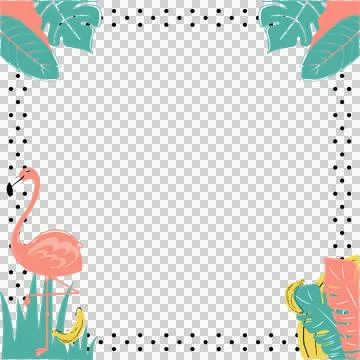 Flat tropical transparent frame is showing flamingo, leaves and polka dots, copy Stock Illustration