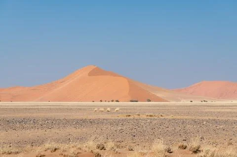 Flat Valley bottom with a high dune, Sesriem in the Namib Desert, Namibia Foto stock