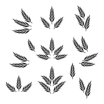 Flat Vector Agriculture Wheat, Cereal Ear Icon Set Isolated. Organic Wheat, Rice 스톡 일러스트