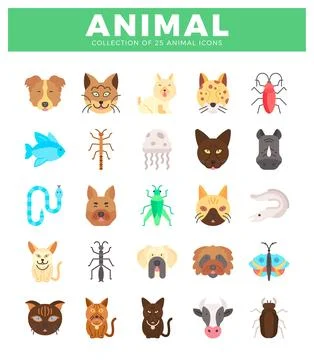 Flat vector animal icon collection for educational graphics on a white back.. Stock Illustration