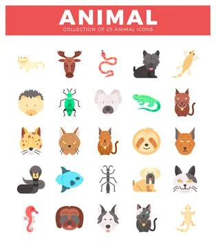 Flat vector animal icons in a grid format on a white background with a red .. Stock Illustration