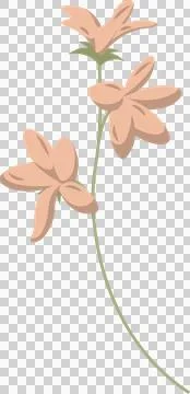 Flat vector art is featuring three peach blossoms with curved green stem on 스톡 일러스트