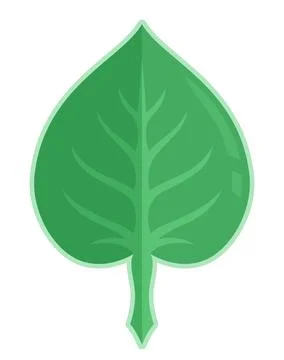 Flat vector art with green geometric leaf shape Stock Illustration