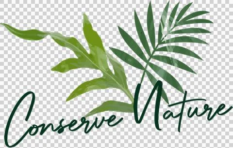 Flat vector art is showing painted leaves and cursive Conserve Nature text Illustrazione stock