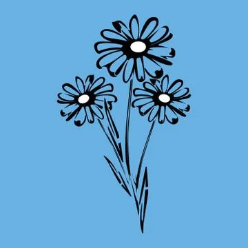 Flat vector beautiful black chamomile and leaves Stock Illustration