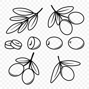 Flat Vector Black Olives and Branch Outline Set. Hand-Drawn Olive Tree Berries Illustrazione stock