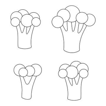 Flat vector with broccoli doodle on white background. Stockillustratie