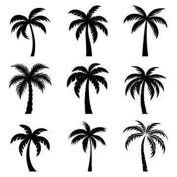 Flat Vector Cartoon Black and White Palm Trees, Palm Tree Silhouette Icon Set Illustrazione stock