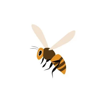 Flat Vector Cartoon Flying Honey Bee Insect Icon Illustration. Ilustração Stock