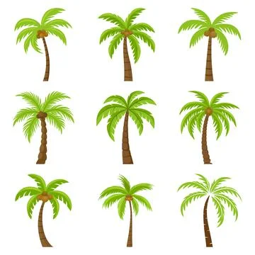 Flat Vector Cartoon Palm Trees, Palm Tree Icon Set Isolated. Palm Design Illustrazione stock