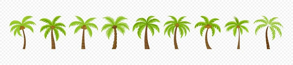 Flat Vector Cartoon Palm Trees, Palm Tree Icon Set Isolated. Palm Design 스톡 일러스트