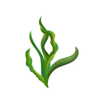 Flat vector design of bright green spirulina seaweed. Ocean algae. Vegetarian Stock-Illustration