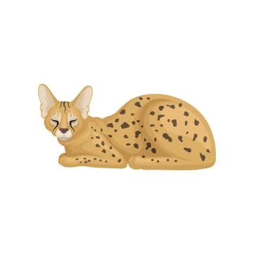 Flat vector design of sleeping African serval. Brown wild cat with large ears Stock Illustration