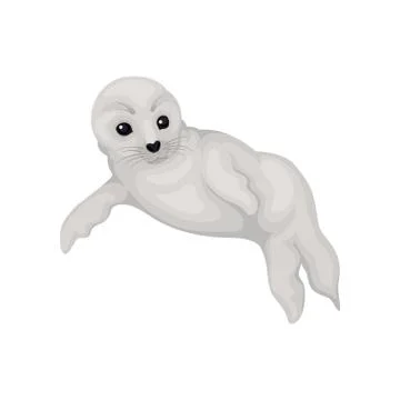 Flat vector design of swimming or lying seal pup. Marine mammal with gray fur Stock Illustration