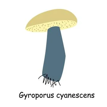 A flat vector of an edible mushroom isolated on a white background. Stock Illustration