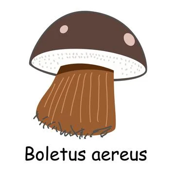 A flat vector of an edible mushroom isolated on a white background. Stock Illustration