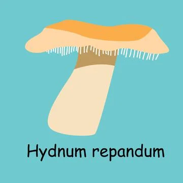 A flat vector of an edible mushroom isolated on a blue background. Stock Illustration