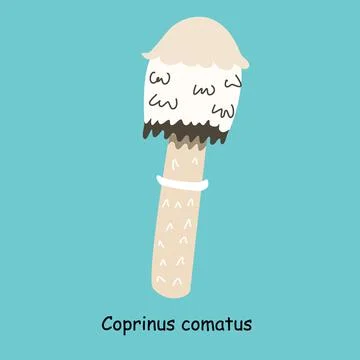 A flat vector of an edible mushroom isolated on a blue background. Illustrazione stock