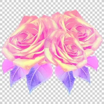 Flat vector featuring rose trio with pink gradient petals and violet leaves, Ilustración de archivo