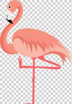 Flat vector flamingo is floating on transparent background, showing curved neck Stock Illustration