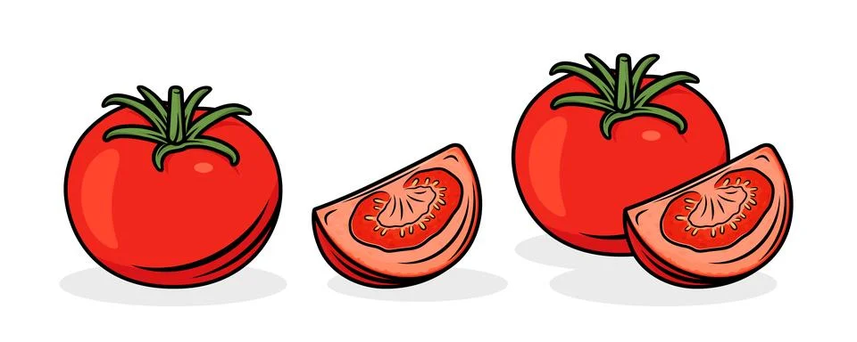 Flat Vector Fresh Tomato Icon Set Isolated. Whole and Quartered Tomatoes Design Illustrazione stock