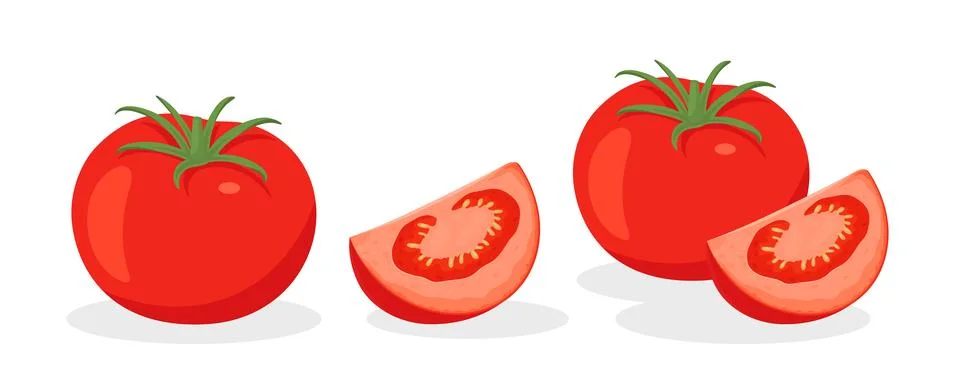 Flat Vector Fresh Tomato Icon Set Isolated. Whole and Quartered Tomatoes Design Stock Illustration