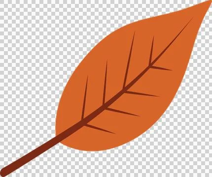 Flat vector graphic is showing orange leaf with darker veins on transparent Stock Illustration