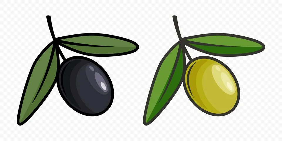 Flat Vector Green and Black Olives Outline Set. Hand-Drawn Olive Tree Berries Stock Illustration