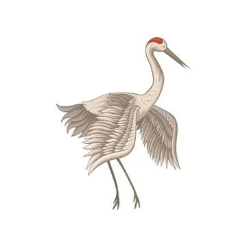 Flat vector icon of beautiful red-crowned crane. Bird with long beak, legs and Stock Illustration