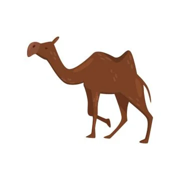 Flat vector icon of brown camel, side view. Desert mammal animal with one hump Stock Illustration