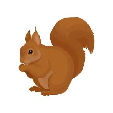 Flat vector icon of brown squirrel. Forest rodent with shiny eye and big fluffy Illustrazione stock